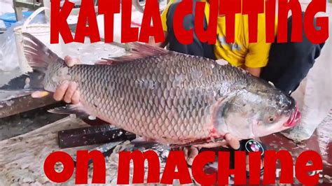 Big Fish Cutting Katla Fish Cutting On Cutter Machine Amazing