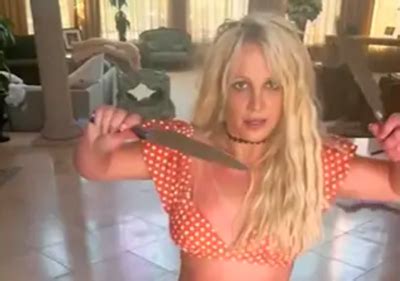 Police Check Up On Britney Spears Following Viral Knife Video