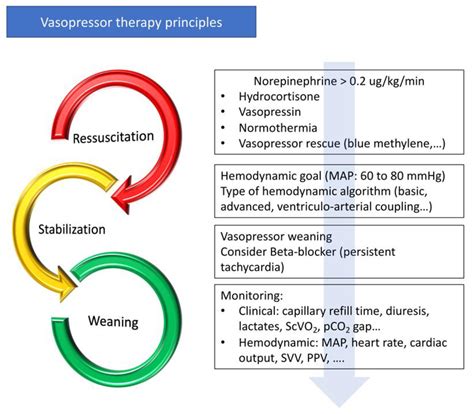 Vasopressor-Sparing Strategies in Patients with Shock: A Scoping-Review