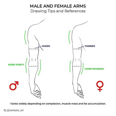 🎨 Daily Art Tips 10k On Instagram “differences Between Female And Male Arms Did You Know