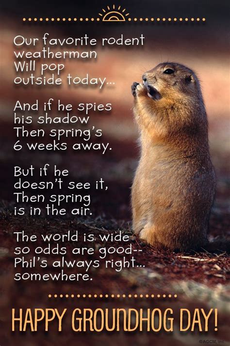 Groundhog Day Birthday Wishes - The Citrus Report