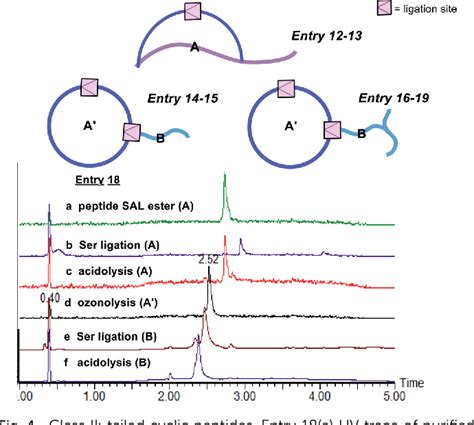 Figure From Construction Of Diverse Peptide Structural Architectures