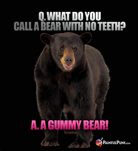 Bear Jokes Panda Puns Grizzly Humor Painfulpuns