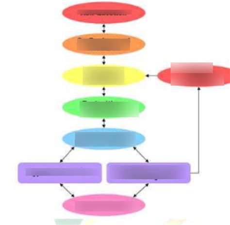 Steps In Scientific Method Diagram Quizlet