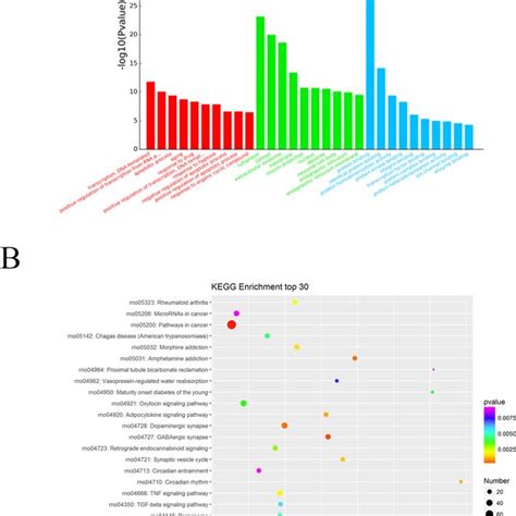 Go And Kegg Pathway Analysis Of Differentially Expressed Mirnas