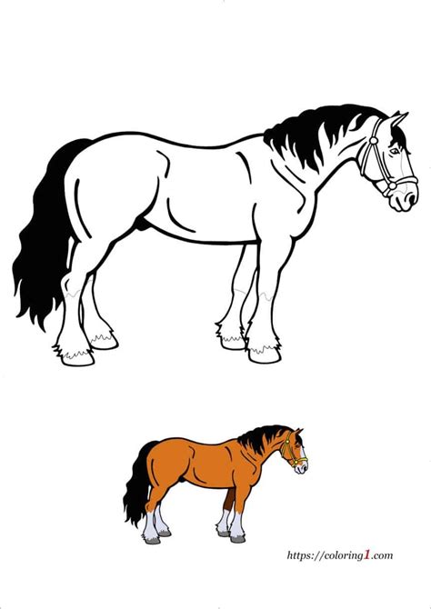 Draft Horse Coloring Pages - 2 Free Coloring Sheets (2021)