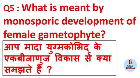 What is meant by monosporic development of female gametophyte आप