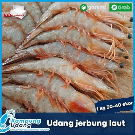 Jual Udang Jerbung Laut Banana Udang Paci Gr Isi Ekor