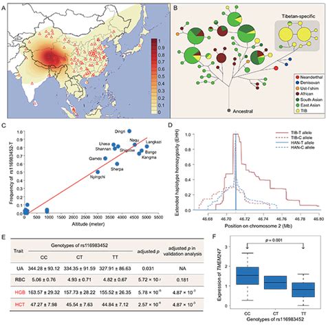 科学家构建藏族人群全基因组水平的适应性遗传变异图谱 中国科学院