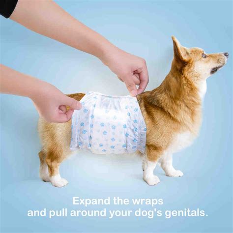 Disposable Male Dog Diapers 12 Pcs Pack Petsoft