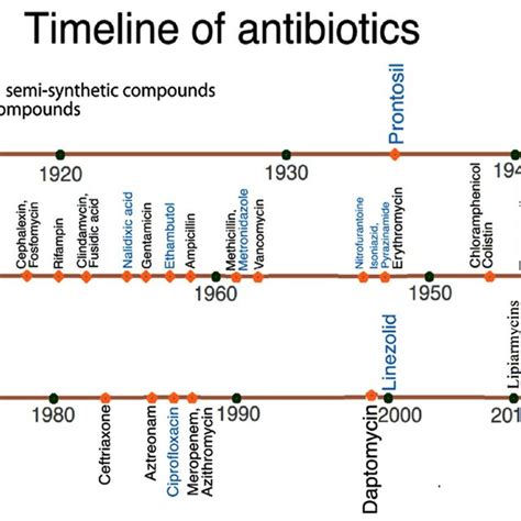 Timeline Of Developmentdiscovery Of Antimicrobial Drugs Download