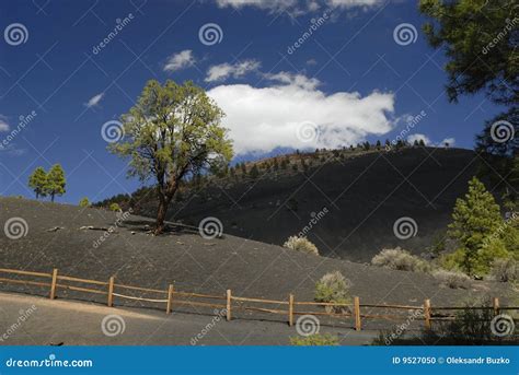 Sunset Crater Volcano in Arizona Stock Photo - Image of arizona, trail: 9527050