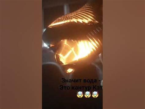 кантур кэт - YouTube