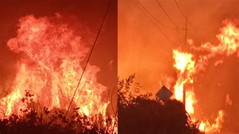 Video El Feroz Incendio En Sisal Ya Fue Controlado Y Así Luce El Panorama