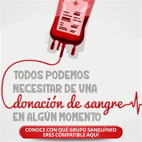 Saber Tu Grupo Sangu Neo A Quien Puedes Donar Y De Qui N Puedes