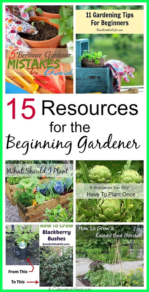 Tips For Planting A Container Herb Garden