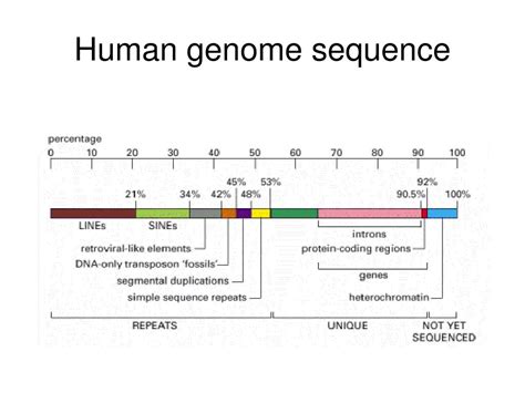 Ppt Genome Sequence Powerpoint Presentation Free Download Id 3120950