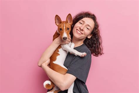 Veja a importância do enriquecimento ambiental para o cachorro Jovem Pan