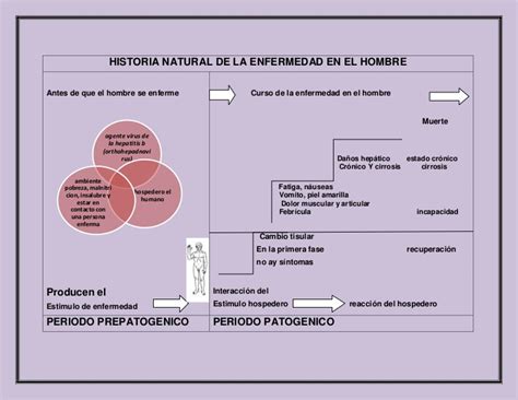 Historia Natural De La Enfermedad Concepto De Historia Natural De La