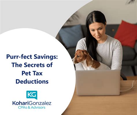 Purr Fect Savings The Secrets Of Pet Tax Deductions