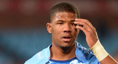Orie Stander To Extend Pretoria Stay Za Rugby News Live