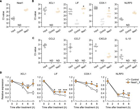 Frontiers Neat Lncrna Organizes The Inflammatory Gene Expressions In