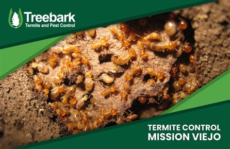 Mission Viejo Treebark Termite And Pest Control Services