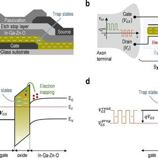 A Schematic Cross Sectional View And B Equivalent Circuit Of The