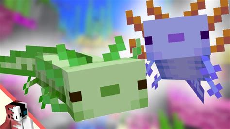 Minecraft Axolotl Mod