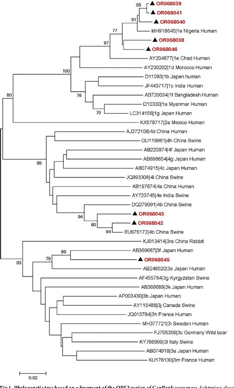 Figure 1 From Hepatitis E Virus Infections Among Patients With Acute
