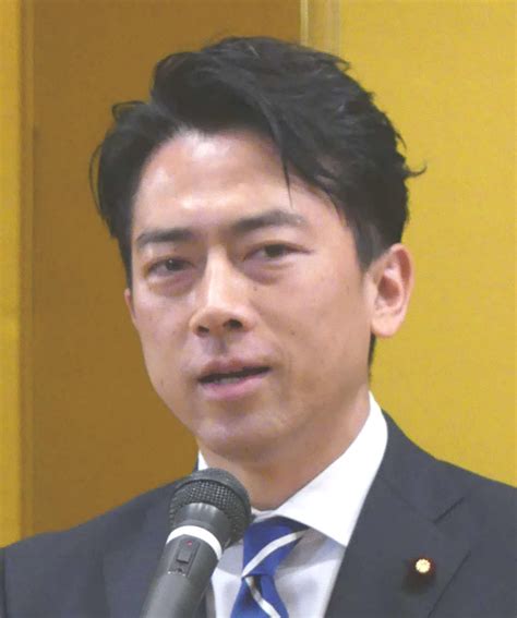 小泉進次郎氏「見たくない景色が広がっていました」 社会写真ニュース 日刊スポーツ