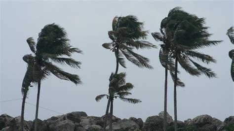 Tiempo En Mallorca Mallorca Se Prepara Para Un Fuerte Temporal De