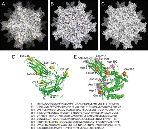 Structural Analysis Of Ibd Svps A Surface Lys Residues Shown In