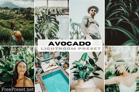 Avocado Greenish Foliage Mobile Lightroom Preset