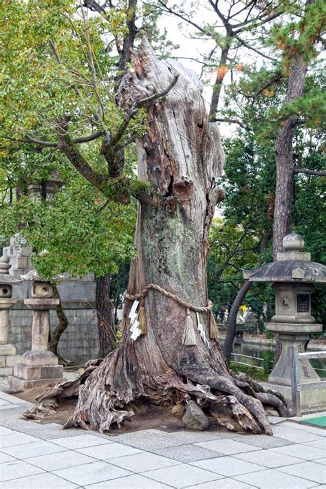 Gran Santuario De Sumiyoshi En Osaka Foto De Archivo Imagen De