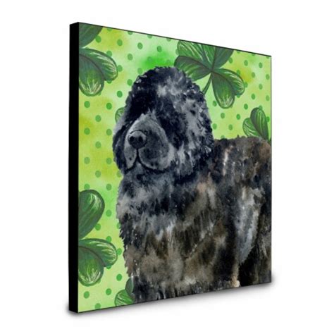 Newfoundland St Patrick S Artwork Wall Panel 1 Ralphs