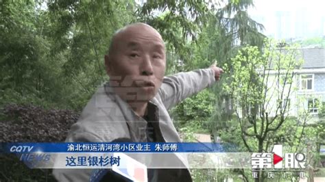 小区绿化地成了私家花园 业主为此意见大 上游