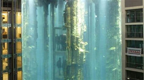 Huge Berlin Aquarium That Housed 1500 Tropical Fish Bursts Photos