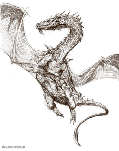 Dragon Sketch Artist Andrea Piparo Dragon Sketch Dragon Drawing