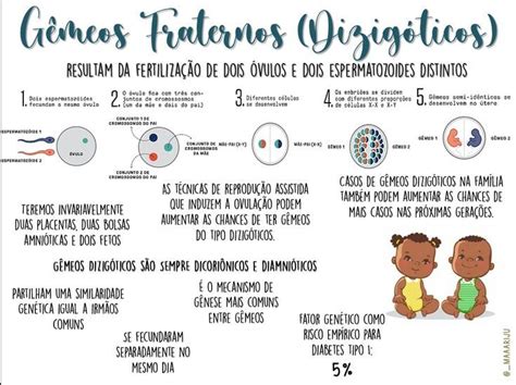 Mapa Mental G Meos Gizig Ticos Fraternos G Meos Dizig Ticos Tipos