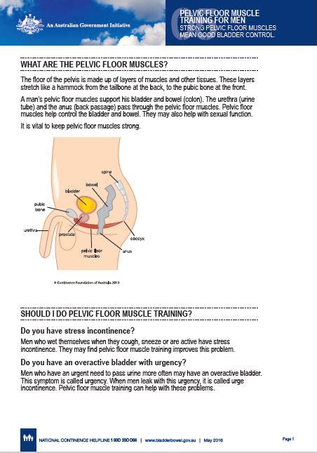 Pelvic Floor Courses Australia | Viewfloor.co