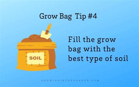 Gardening In Grow Bags 5 Tips For Success Growing In The Garden