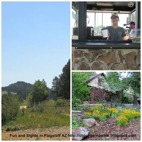 O Blogger Newbie, see each day with wonder: Great Reasons to Travel to Flagstaff AZ