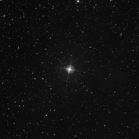 Apus Constellation Facts Information History And Definition