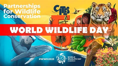 50th Anniversary Of Cites World Wildlife Day 2023 Partnerships For