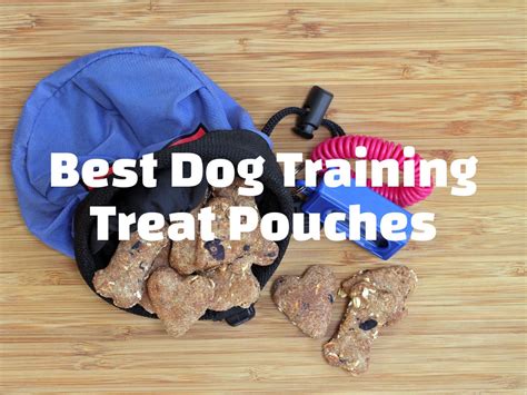 The 6 Best Dog Training Treat Pouches For Convenient And Effective