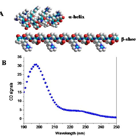 A Molecular Model Of The Dsap 2 The Peptide Is Modeled With α Helix Download Scientific