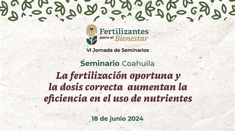 Semcoa La Fertilización Oportuna Y La Dosis Correcta Aumentan La