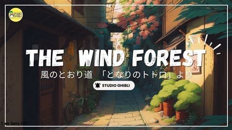 風のとおり道 となりのトトロより The Wind Forest My Neighbor Totoro Anna Rose