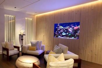 Aquarium Designs - In Wall Aquariums | Free Standing Tanks